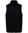 NS6005 Native Spirit Light Recycled Bodywarmer Black colour image